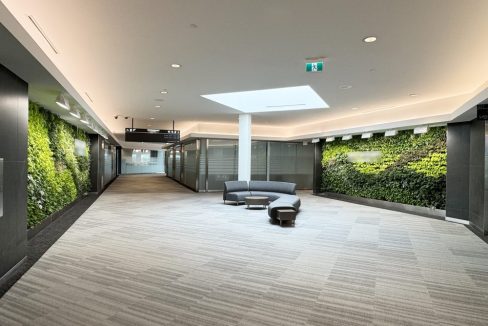 Wonderland Rd. S. 785 - 100a