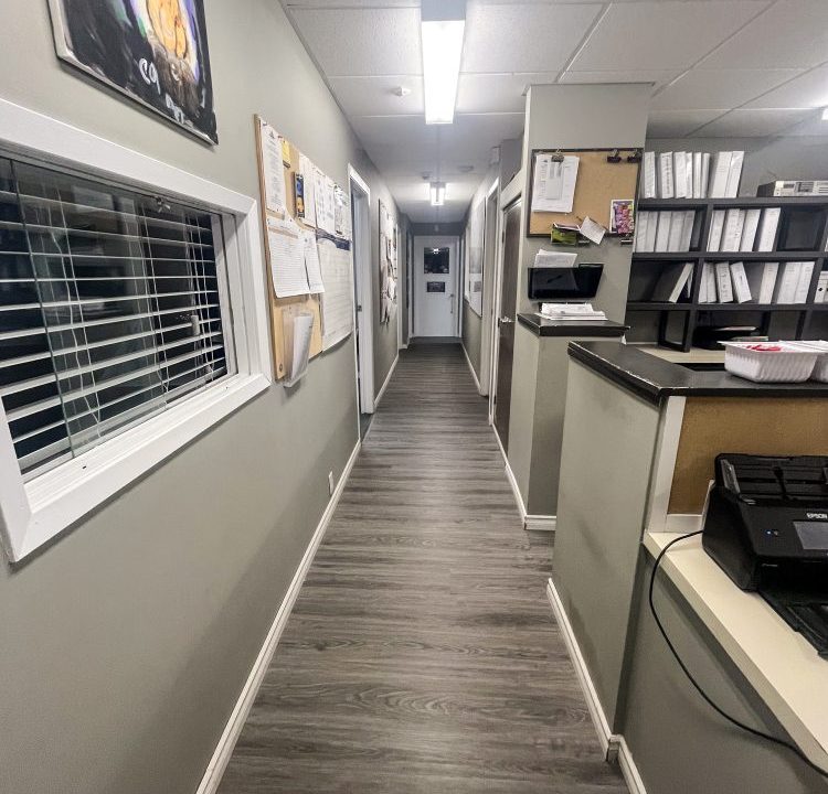 Wharncliffe Rd. S. 1891, Building & Land - 02a